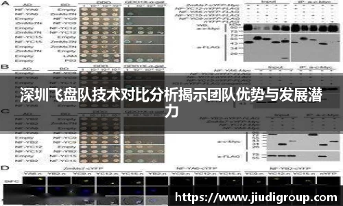 深圳飞盘队技术对比分析揭示团队优势与发展潜力
